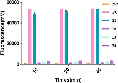 Rapid and Sensitive Detection of Salmonella spp. Using CRISPR-Cas13a Combined With Recombinase Polymerase Amplification